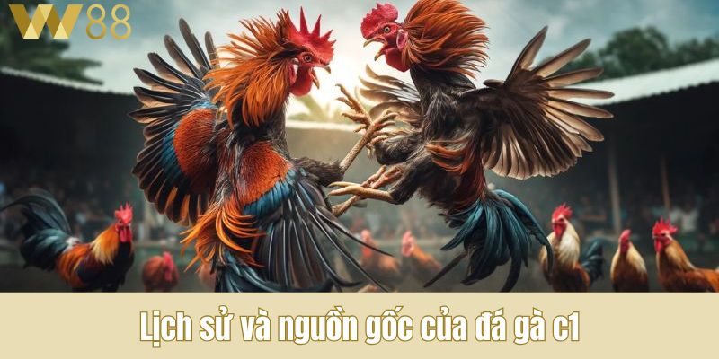 Lịch sử và nguồn gốc của đá gà c1