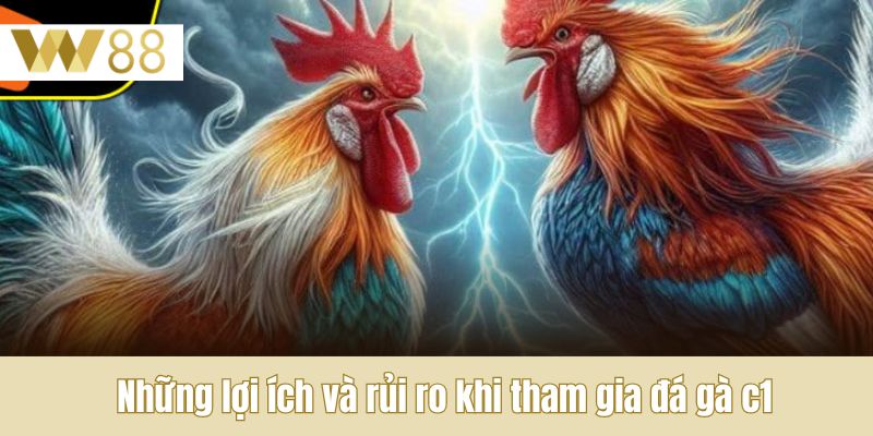 Những lợi ích và rủi ro khi tham gia đá gà c1